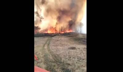 В Башкирии начался страшный пожар в лесу. Местные жители просят о помощи