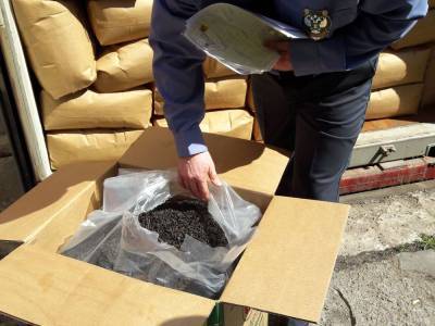 В Тверской области проверили импортные зерна и семена