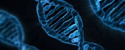 Ученые разработали альтернативу технологии CRISPR