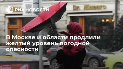 В Москве и области продлили желтый уровень погодной опасности