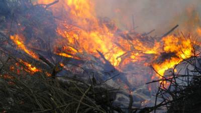 Пожароопасная обстановка может ухудшиться в пяти регионах России