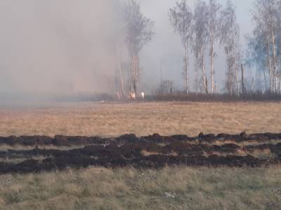 В Башкирии полыхает лесной пожар