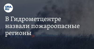В Гидрометцентре назвали пожароопасные регионы. В списке — Урал
