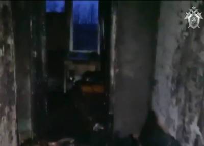 Пятеро подростков сожгли квартиру друга в Ленобласти - и двое при этом погибли