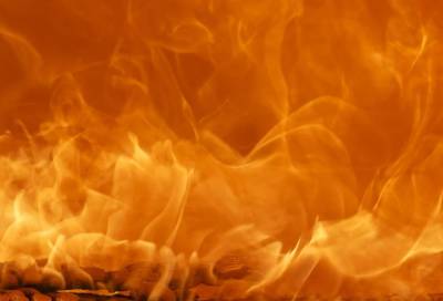 Двое детей пострадали при пожаре в частном доме в Ленобласти