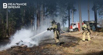 Из-за возгорания сухой травы в Татарстане погибли уже два человека