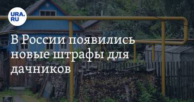 В России появились новые штрафы для дачников. Список