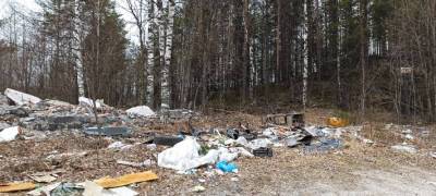«Моральные уроды вываливают мусор»: жители города в Карелии жалуются на стихийную свалку (ФОТО)