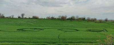 В Краснодарском крае обнаружили таинственные круги на поле