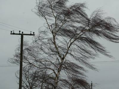 В Челябинской области ожидается шквалистый ветер