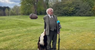 Совала нос в пиджак и требовала внимания: собака президента Ирландии едва не сорвала ему важное выступление (видео)