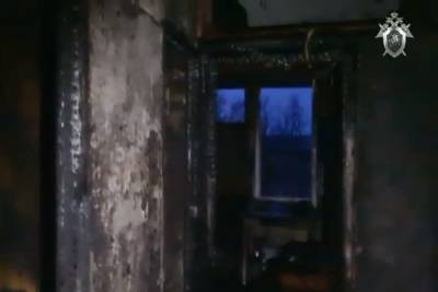 В Ленобласти в пожаре погибли два подростка, возбудили уголовное дело
