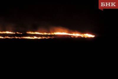 В Ижемском районе с горящей травой боролись пожарные и местные жители