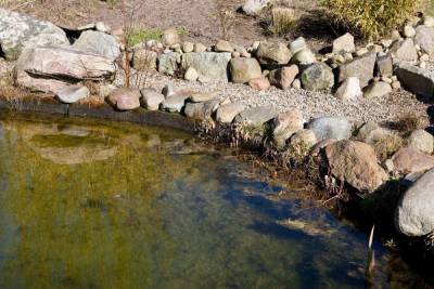 Петербургские и финские ученые создали установку для очистки водоемов