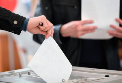 В Ленобласти 244 кандидата предварительного голосования уже прошли регистрацию
