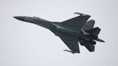 Индийские СМИ рассказали, как вмешательство США не позволило Египту купить российские Су-35