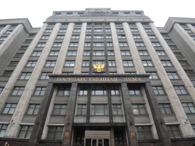 В Госдуме сообщили о 10 иностранных центрах, планирующих незаконные акции в России