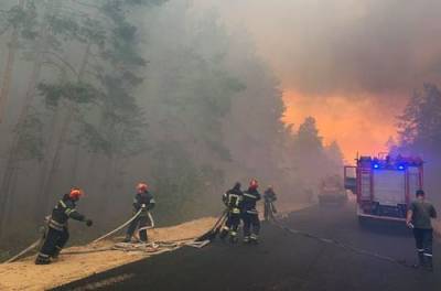 Спасатели предупреждают о высоком уровне пожарной опасности в 14 областях Украины