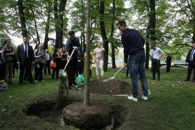 ГАТИ разрешила посадить 190 деревьев в парках и скверах Петербурга