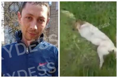 Под Одессой пьяный мужчина устроил расстрел животных ради "развлекухи": появилось видео с живодером