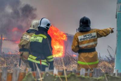 В Самарской области загорелись дачи (видео)