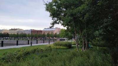 В петербургских парках и скверах высадят новые деревья