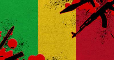 Французского журналиста похитили джихадисты на Мали
