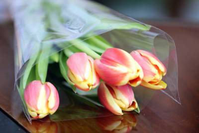 Рижская дума разрешила возложить цветы к памятнику Освободителям 9 мая