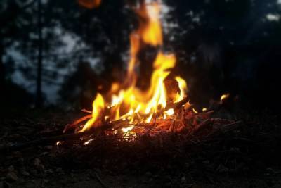 20 лесных пожаров за сутки: в Удмуртии сохраняется пожароопасная ситуация