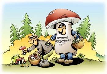 Для сбора березового сока и грибов в лесу россиянам нужны договор и линейка