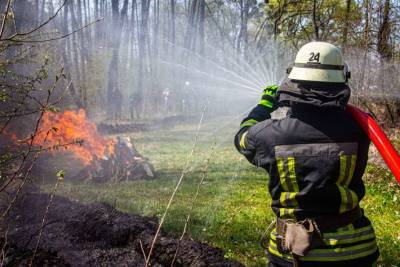 Пожары в экосистемах остаются досадным «бичом Украины»