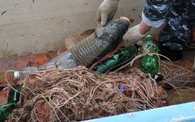 В Ульяновской области поймали рыбаков-нарушителей. Им «светит» до 2 лет тюрьмы