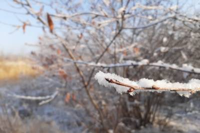 На Саратовскую область надвигаются заморозки: на дачах могут полопаться краны