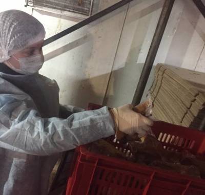 На одно из предприятий Ульяновска привезли мясо птицы, зараженное гриппом