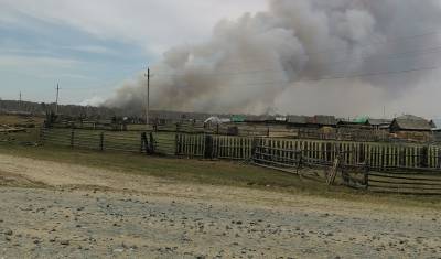 Недалеко от Тобольска жители деревни самостоятельно тушат дома из-за лесного пожара
