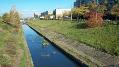 Эксперты устанавливают причину образования пены в реке Волковке