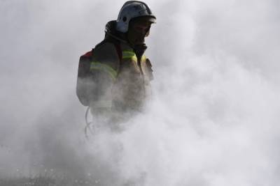 Прокуратура назвала возможную причину пожара в нацпарке под Саратовом