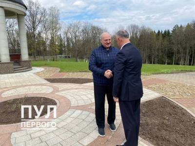 Лукашенко встретился с бывшим президентом Молдовы Игорем Додоном