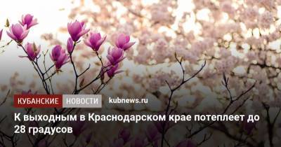 К выходным в Краснодарском крае потеплеет до 28 градусов