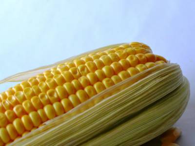 Цены на кукурузу в США взлетели до многолетнего максимума