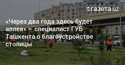 «Через два года здесь будет аллея» — специалист ГУБ Ташкента о благоустройстве города