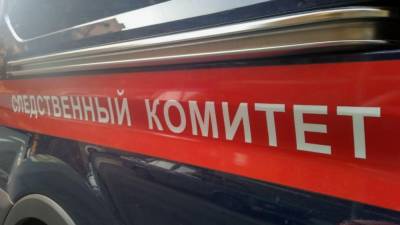 СК Томской области возбудил уголовное дело о вандализме против девушки-подростка