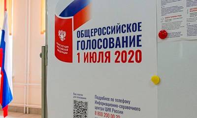 Тьерри Мариани - Иностранных «экспертов», которые положительно оценили голосование по поправкам, увезли одним чартером - og.ru