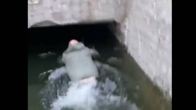 Самарец устроил заплыв в затопленном подземном переходе