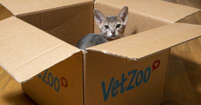 Ученые рассказали, почему кошки так сильно любят сидеть в коробках