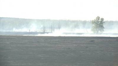 Поселок Мичуринский утопает в дыму из-за пожара на полях