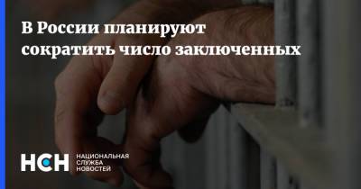 В России планируют сократить число заключенных