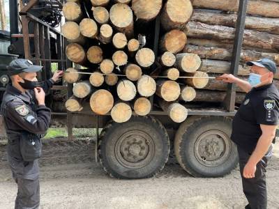 Полиция Луганщины расследует факт незаконной перевозки леса