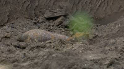В Воронеже при ремонте двора нашли миномётную мину времён Великой Отечественной