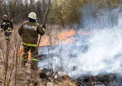 Сотрудники МЧС проводят беседы с дачниками из-за лесных пожаров